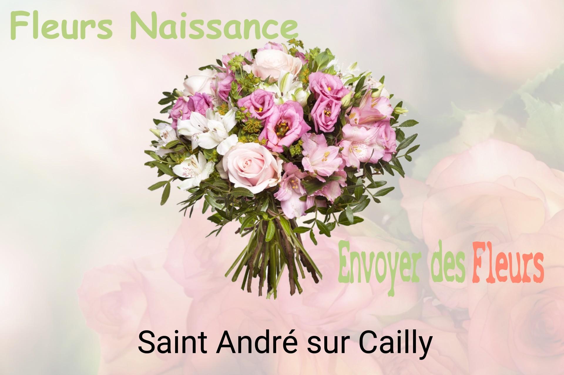 Bouquet de fleurs de naissance livré à Saint-André-sur-Cailly